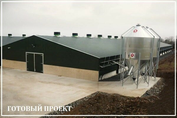 Этапы возведения птицефабрики от завода ВелесТент-нрл